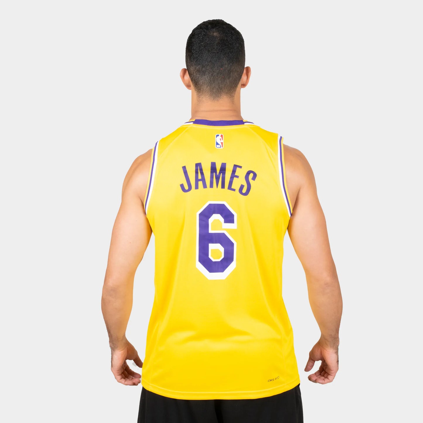 Lebron James LA Lakers Swingman Jersey