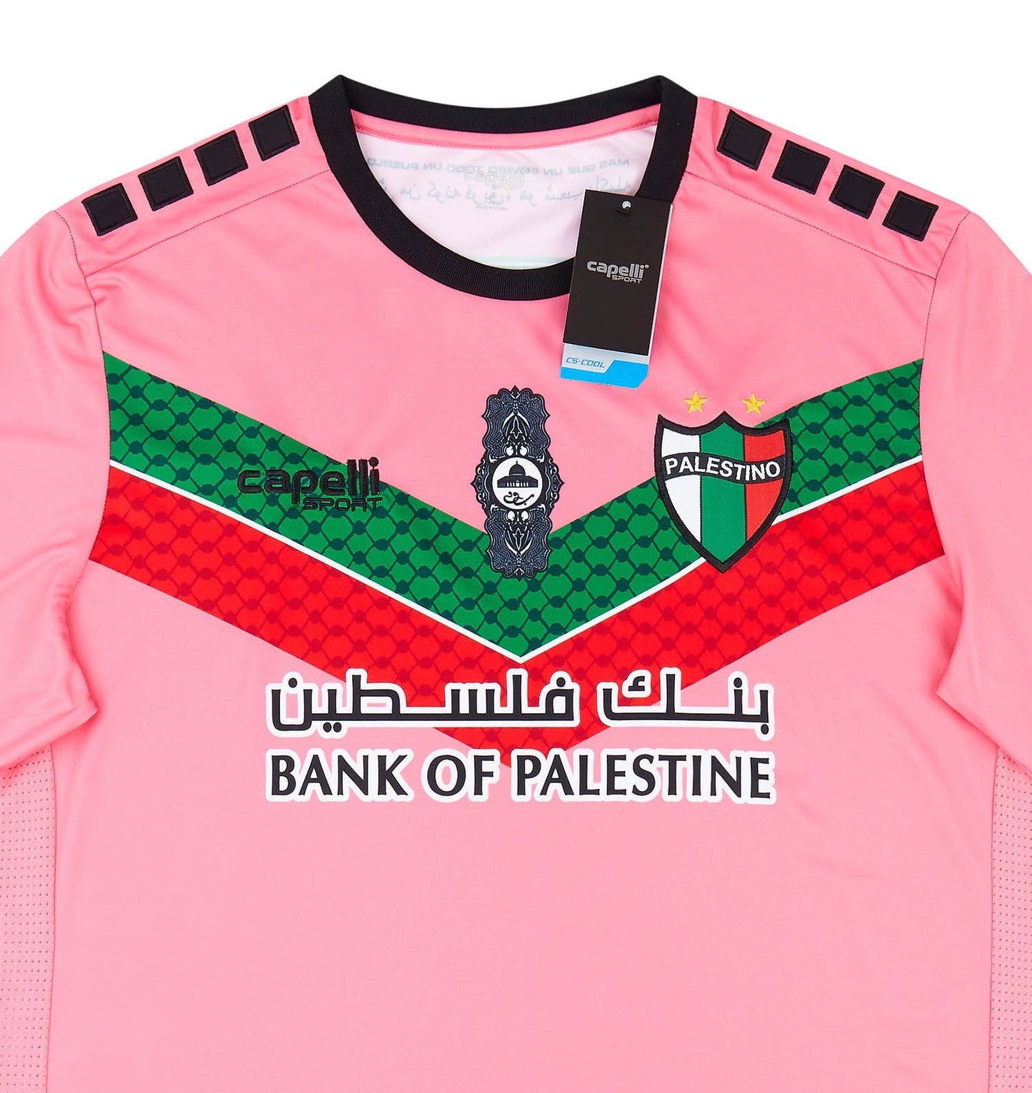 Club Deportivo Palestino Pink